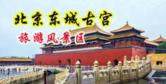 男同互操视频黄色中国北京-东城古宫旅游风景区